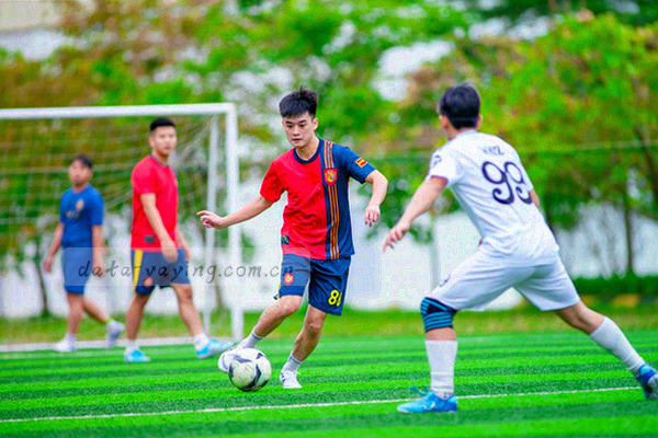 柱状图对比华夏红队与深蓝先锋近期战绩走势